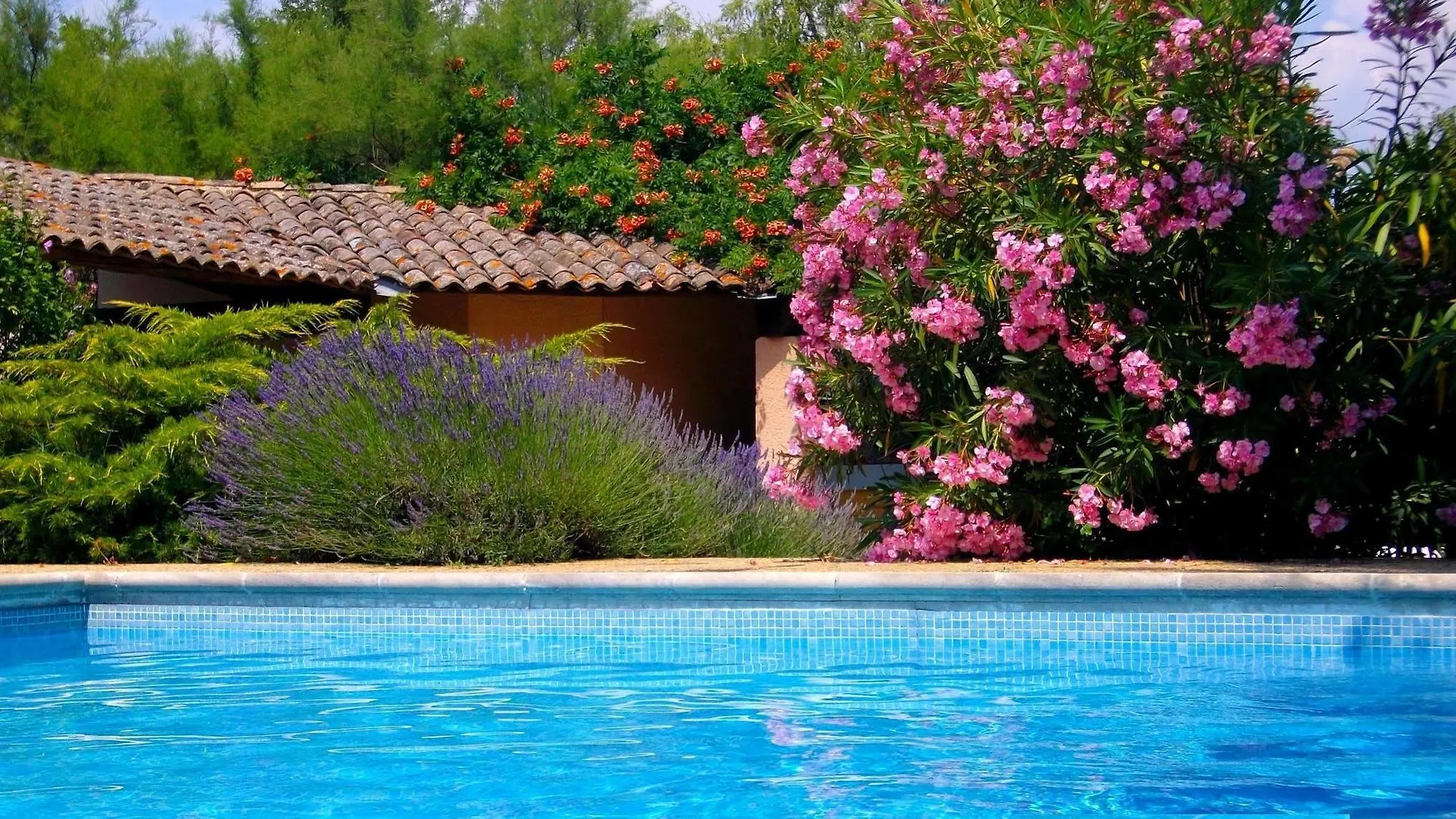 Moulin De La Roque Hotel Althen des Paluds  Althen-des-Paluds
